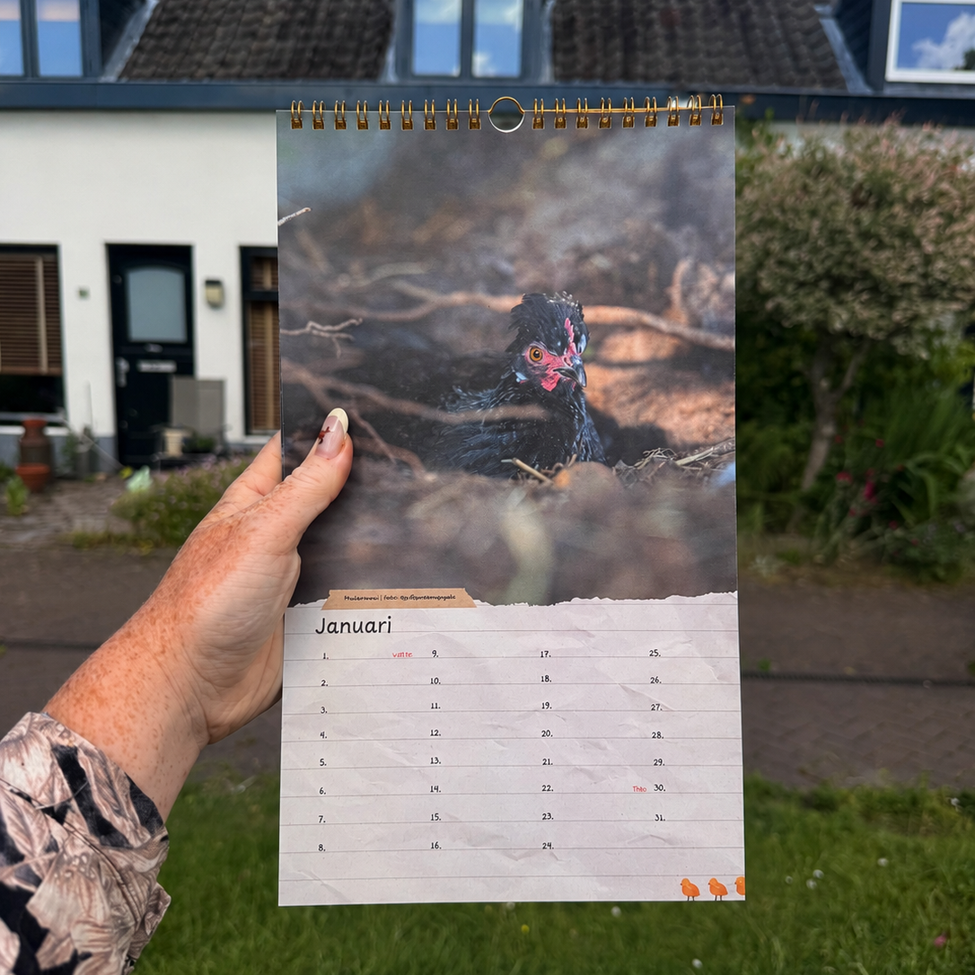 Kipp'n Kalender