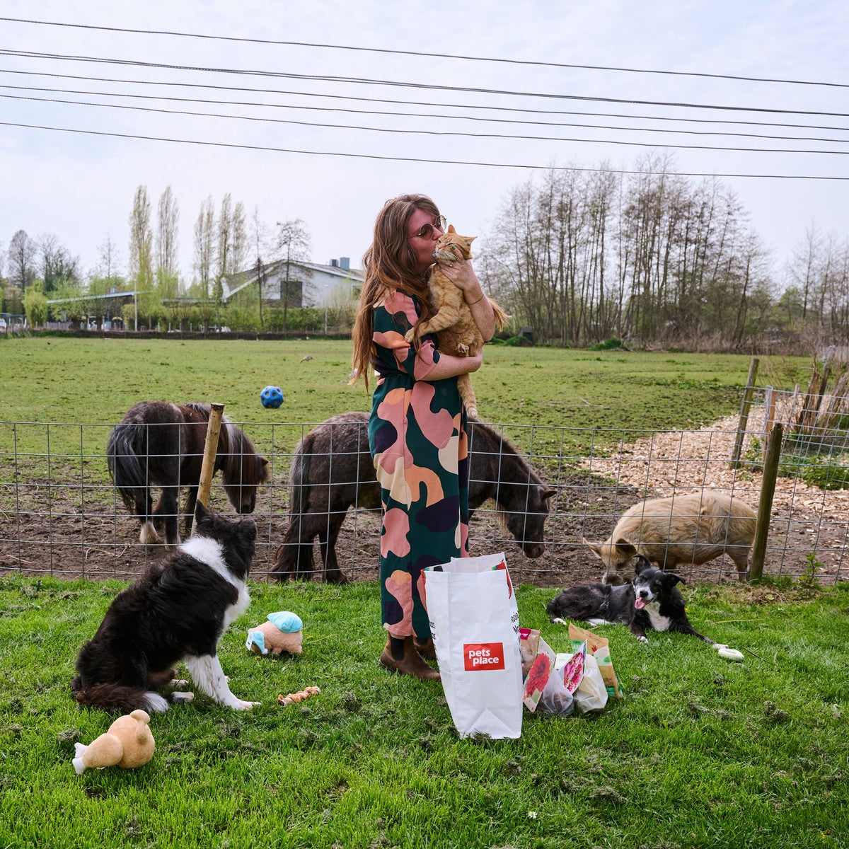 Maxz met kat en dieren